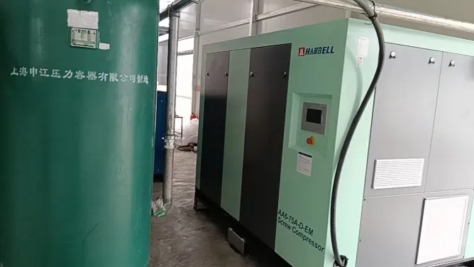 Professionalism Earns Trust: Yuzhen Engineers Successfully Complete Installation and Commissioning of Hanbell Air Compressor system at a Packaging Container Factory of United Arab Emirates